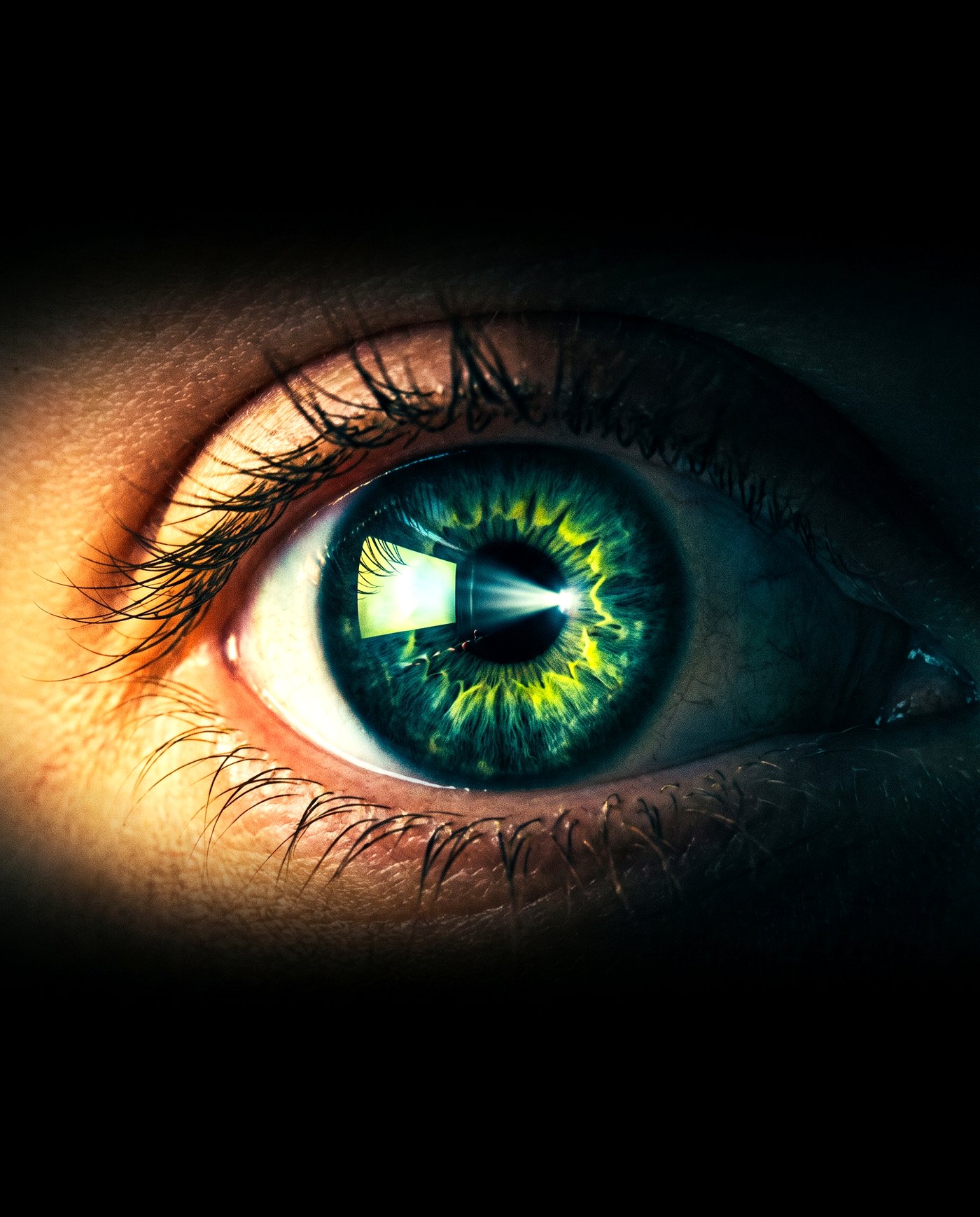 YOUR BRAND — the film